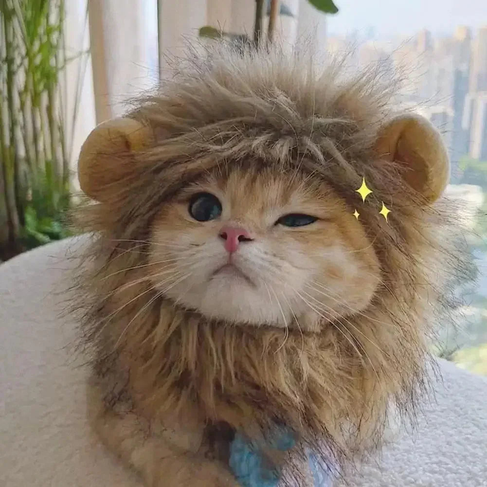 Lion-style Pet Hat [LION RAWR]