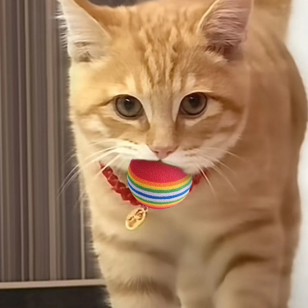 Colorful Cat Toy Ball! [Chasing Rainbows!]