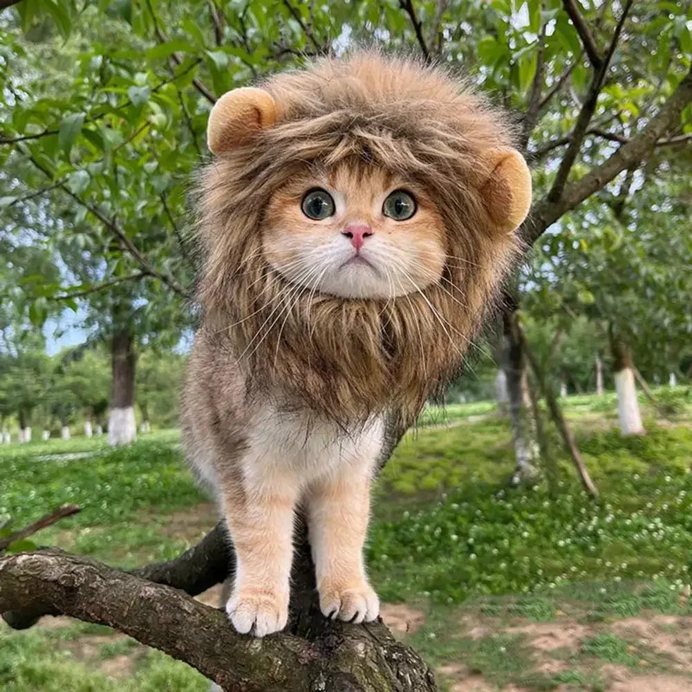 Lion-style Pet Hat [LION RAWR]