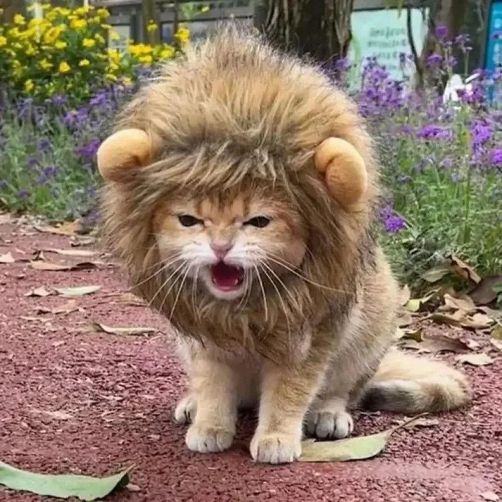 Lion-style Pet Hat [LION RAWR]