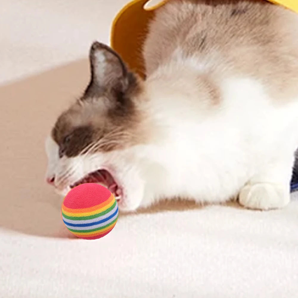 Colorful Cat Toy Ball! [Chasing Rainbows!]