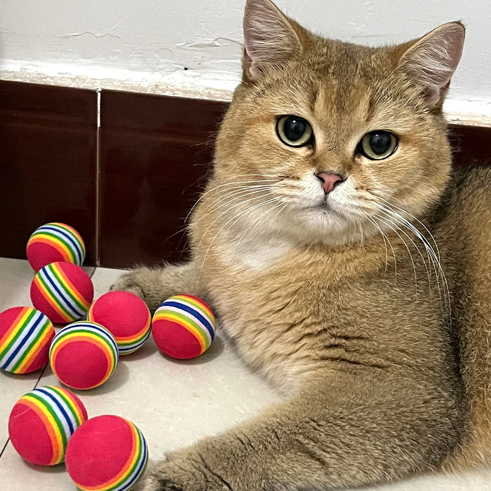 Colorful Cat Toy Ball! [Chasing Rainbows!]