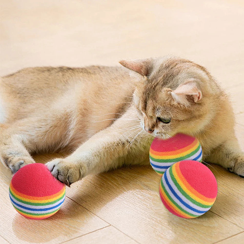 Colorful Cat Toy Ball! [Chasing Rainbows!]