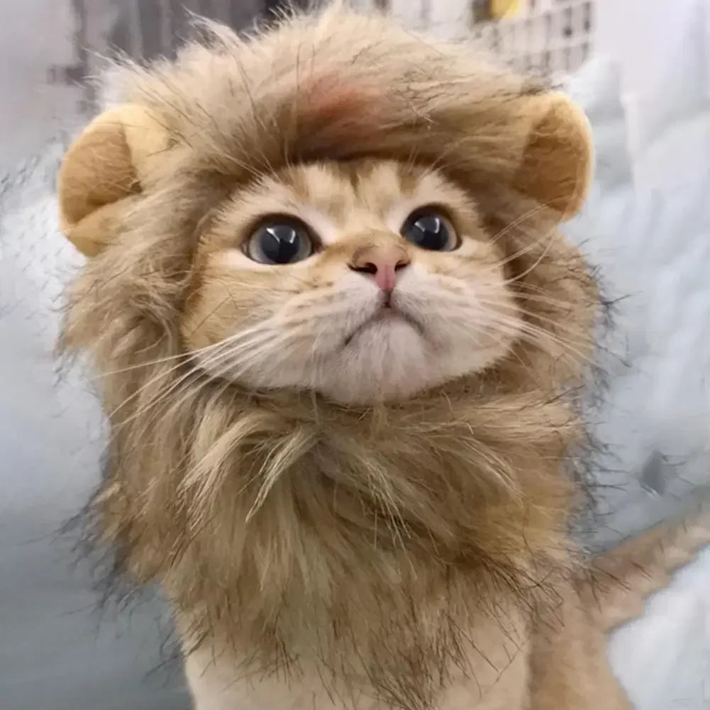 Lion-style Pet Hat [LION RAWR]