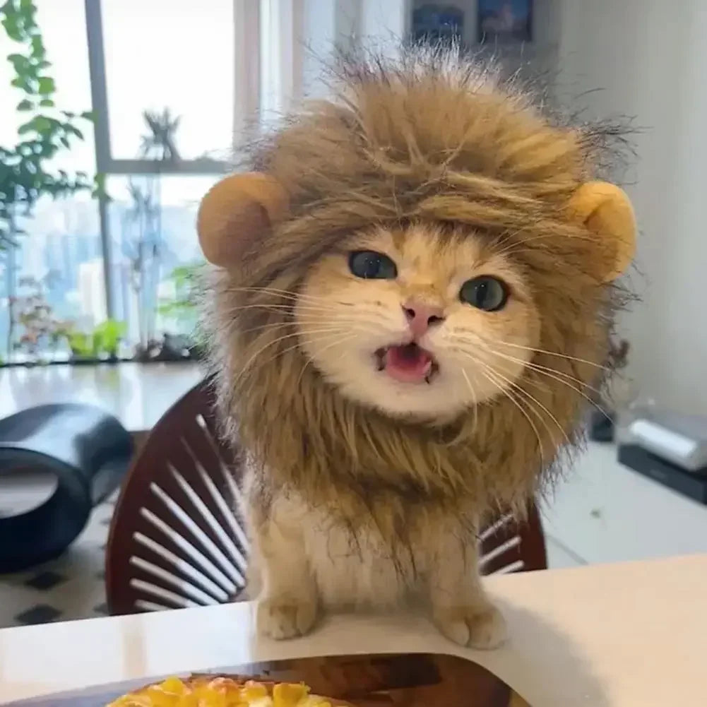 Lion-style Pet Hat [LION RAWR]